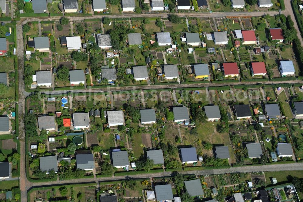 Riesa from above - Parcel of a small garden of the allotment club Kleingaertnerverein Dimmelsberg e.V. in Riesa in the state Saxony