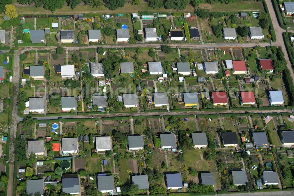 Riesa from the bird's eye view: Parcel of a small garden of the allotment club Kleingaertnerverein Dimmelsberg e.V. in Riesa in the state Saxony