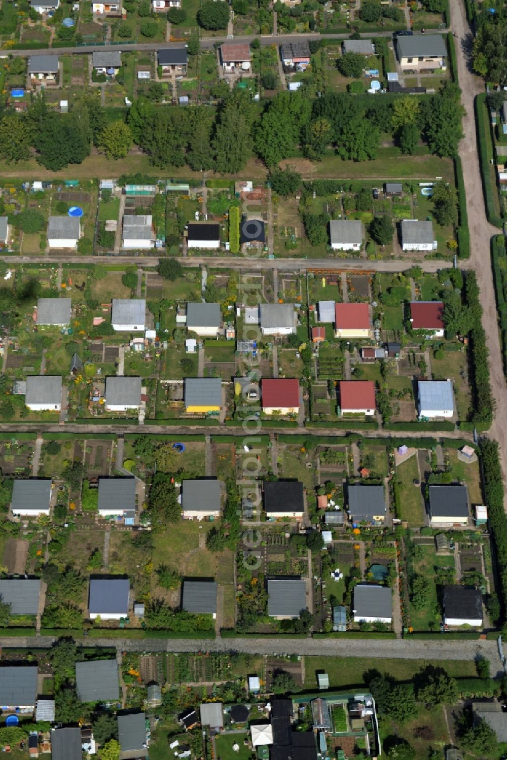 Aerial image Riesa - Parcel of a small garden of the allotment club Kleingaertnerverein Dimmelsberg e.V. in Riesa in the state Saxony