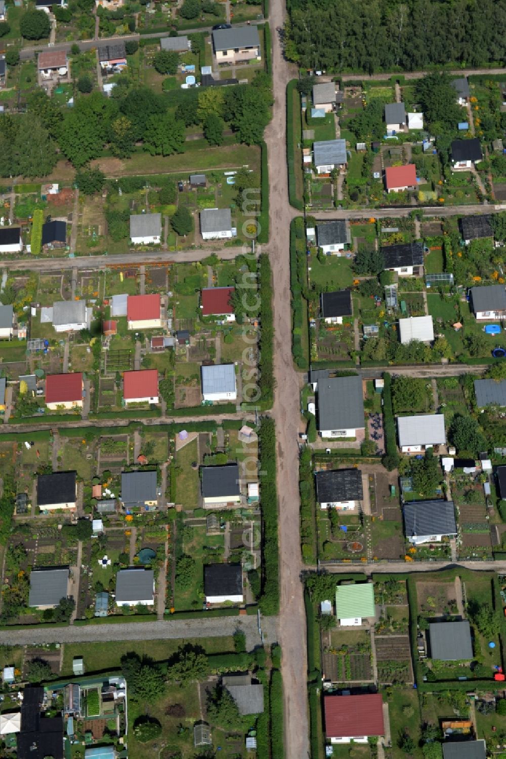 Aerial photograph Riesa - Parcel of a small garden of the allotment club Kleingaertnerverein Dimmelsberg e.V. in Riesa in the state Saxony