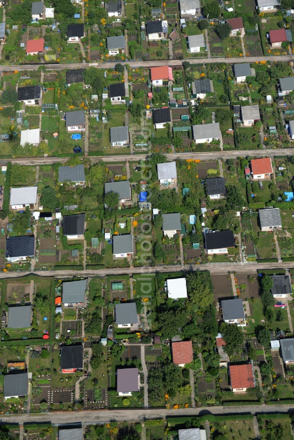 Riesa from above - Parcel of a small garden of the allotment club Kleingaertnerverein Dimmelsberg e.V. in Riesa in the state Saxony