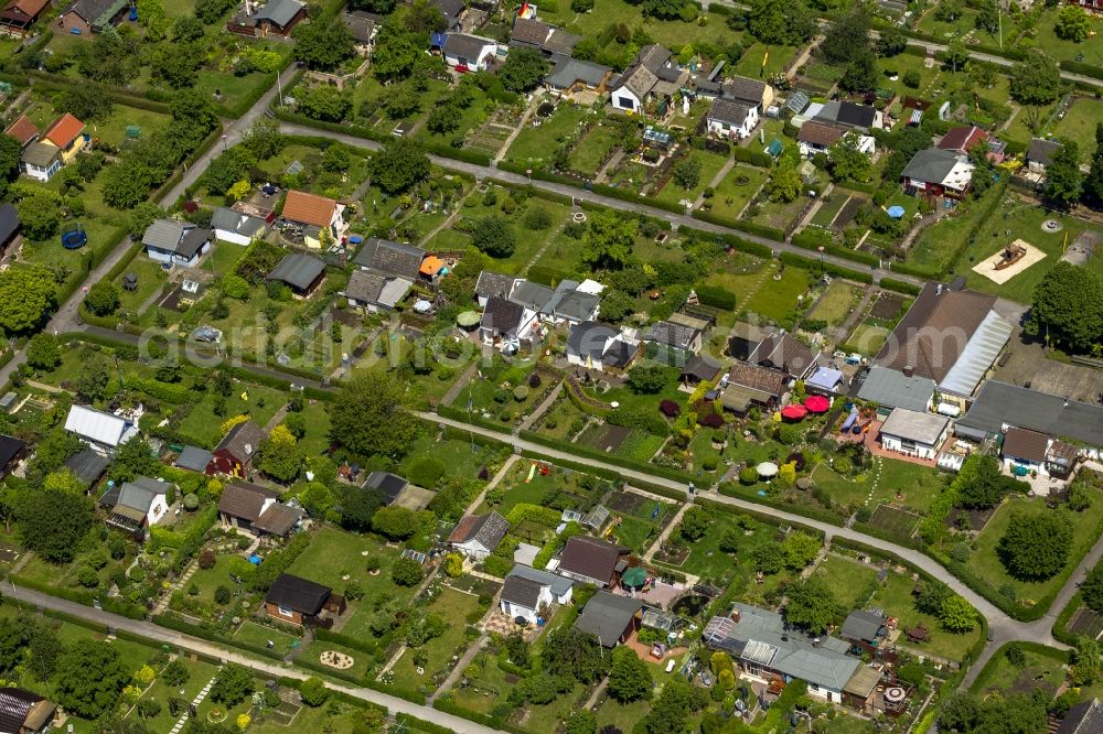 Bochum from above - Plots the garden allotment Luetge Heide in the district Werne of Bochum in North Rhine-Westphalia