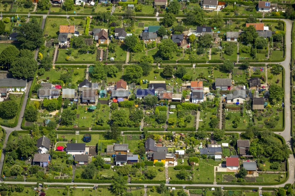 Aerial image Bochum - Plots the garden allotment Luetge Heide in the district Werne of Bochum in North Rhine-Westphalia