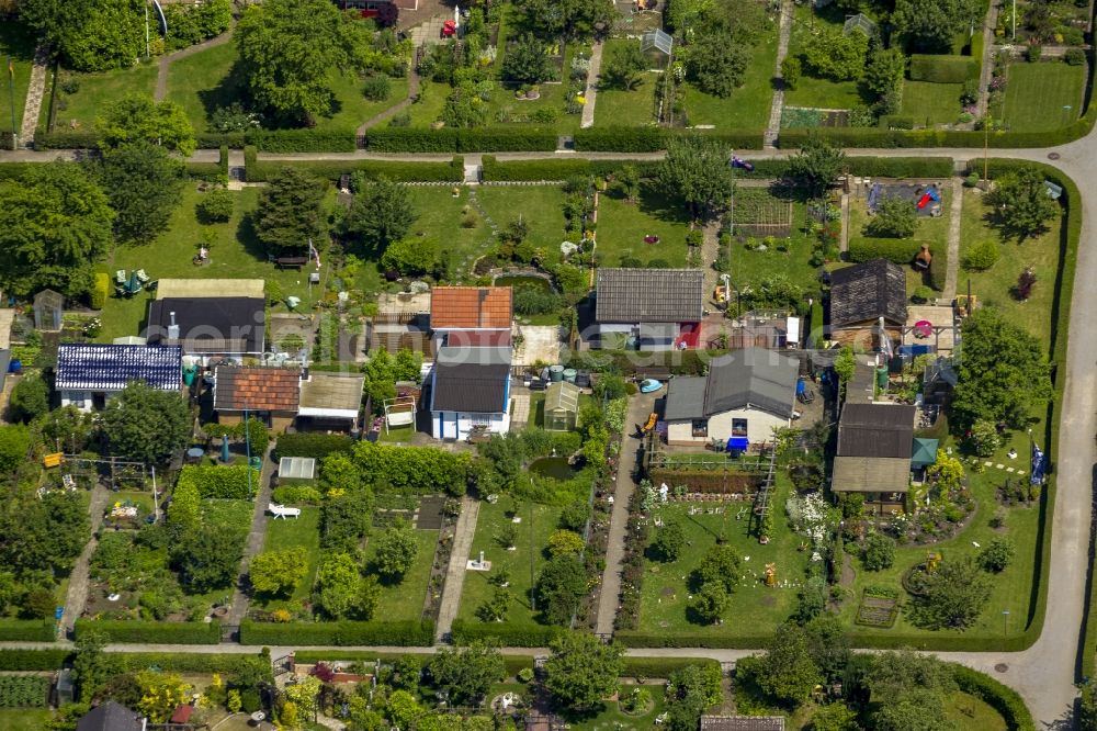 Aerial photograph Bochum - Plots the garden allotment Luetge Heide in the district Werne of Bochum in North Rhine-Westphalia