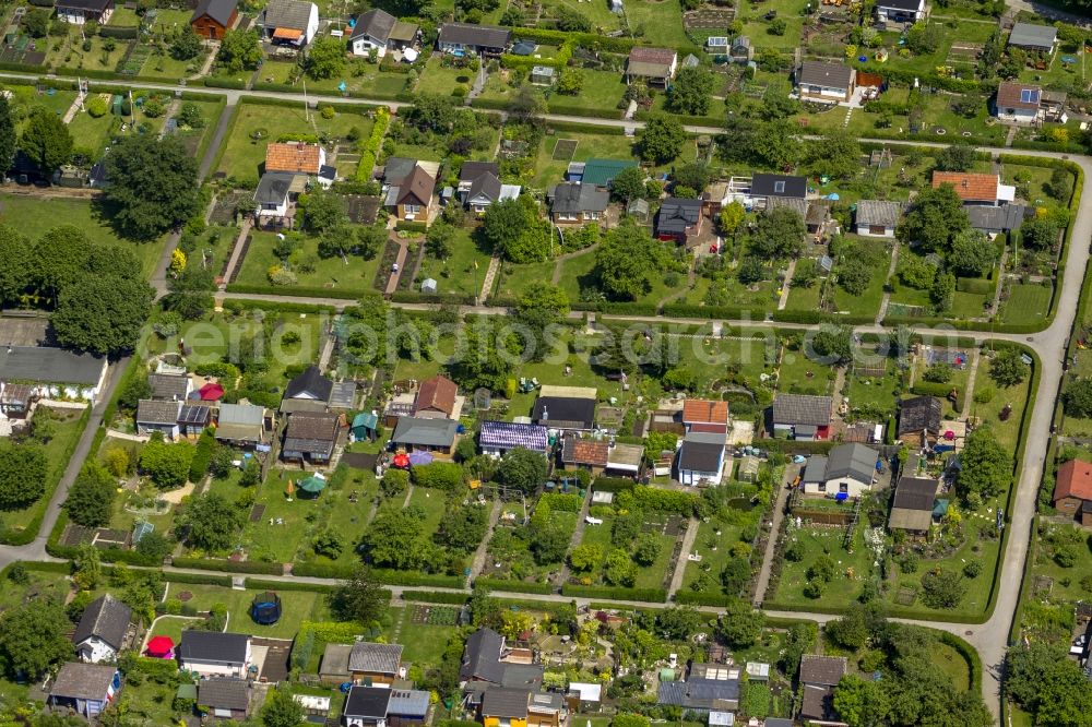 Bochum from above - Plots the garden allotment Luetge Heide in the district Werne of Bochum in North Rhine-Westphalia