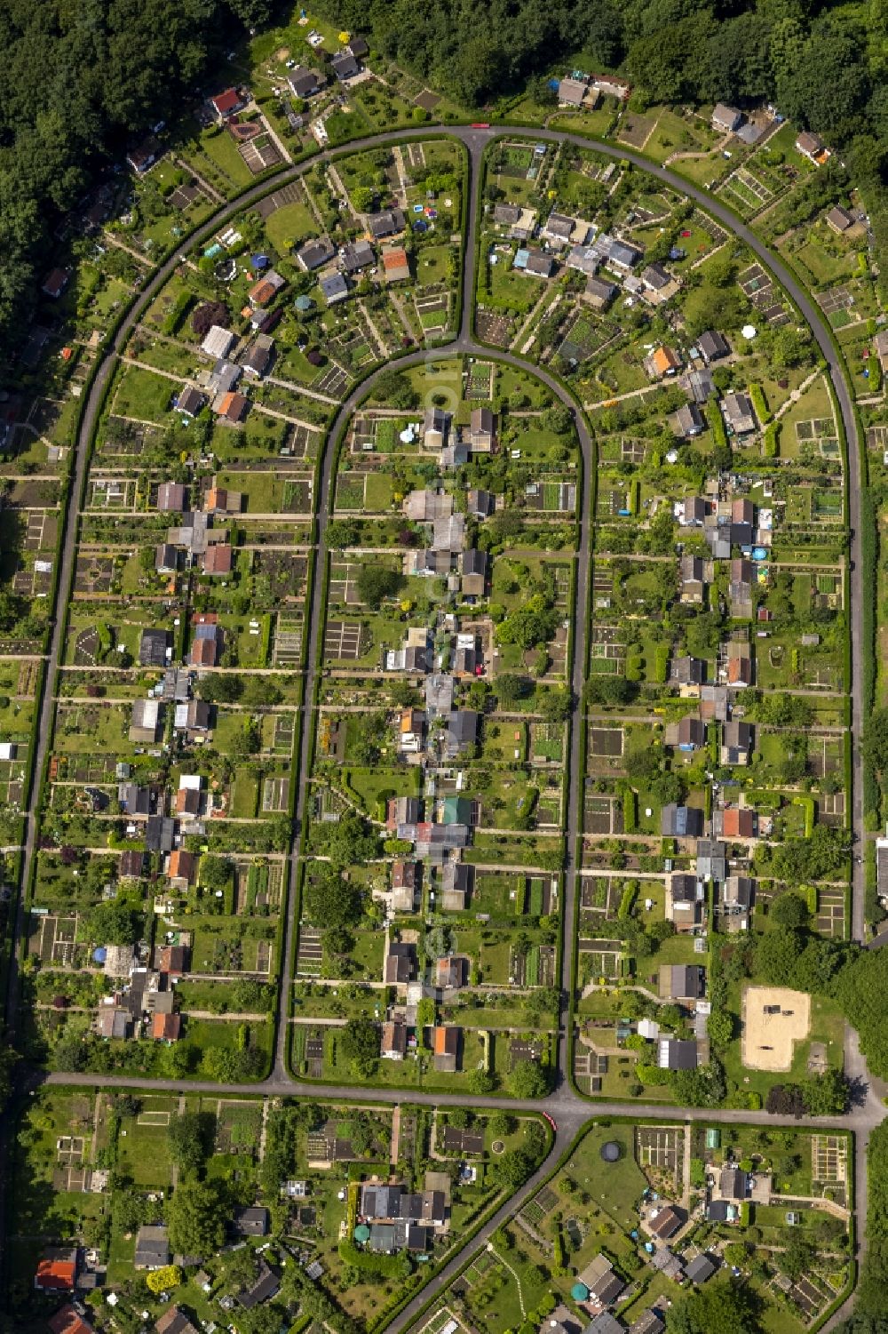 Aerial image Bochum - Plots the garden allotment on Rottmansteich in the district Harpenfeld of Bochum in North Rhine-Westphalia