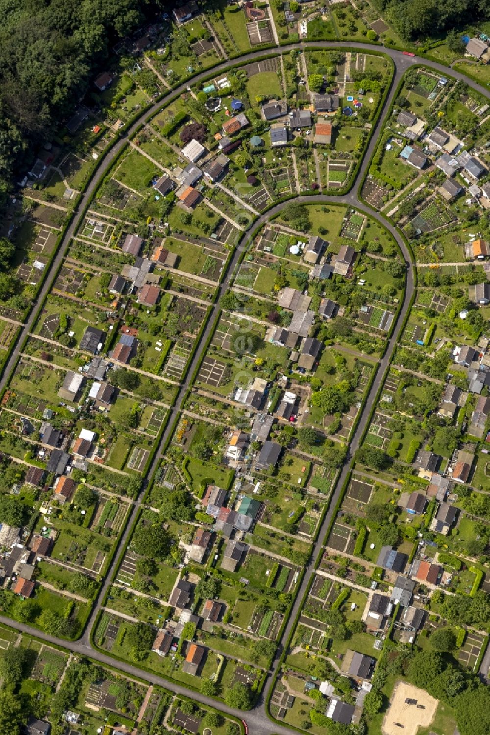 Aerial photograph Bochum - Plots the garden allotment on Rottmansteich in the district Harpenfeld of Bochum in North Rhine-Westphalia