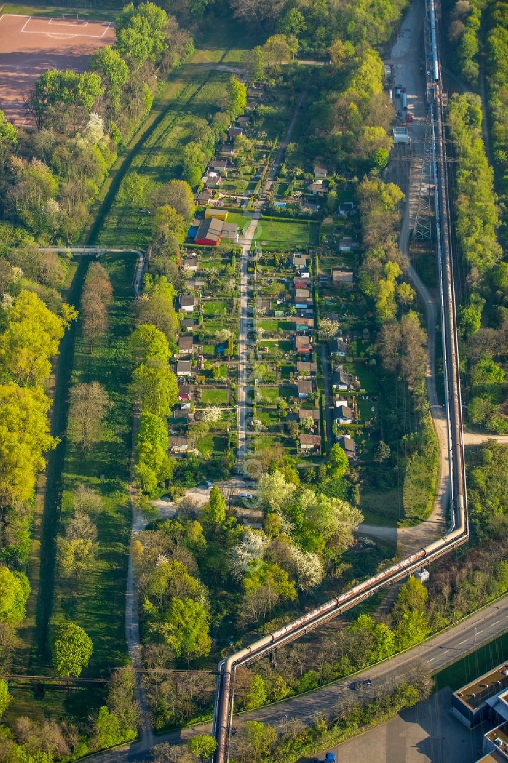 Aerial photograph Duisburg - Parcel of a small garden on Stepelsche Strasse in Duisburg in the state North Rhine-Westphalia, Germany