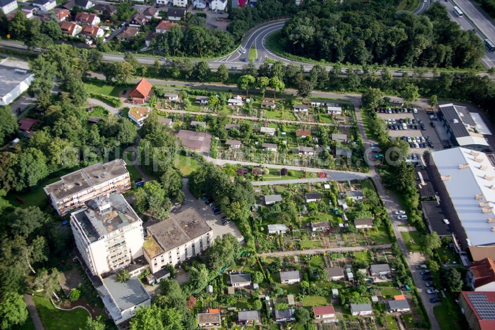 Hemsbach from above - Parcel of a small garden on Wiesensee in Hemsbach in the state Baden-Wuerttemberg, Germany