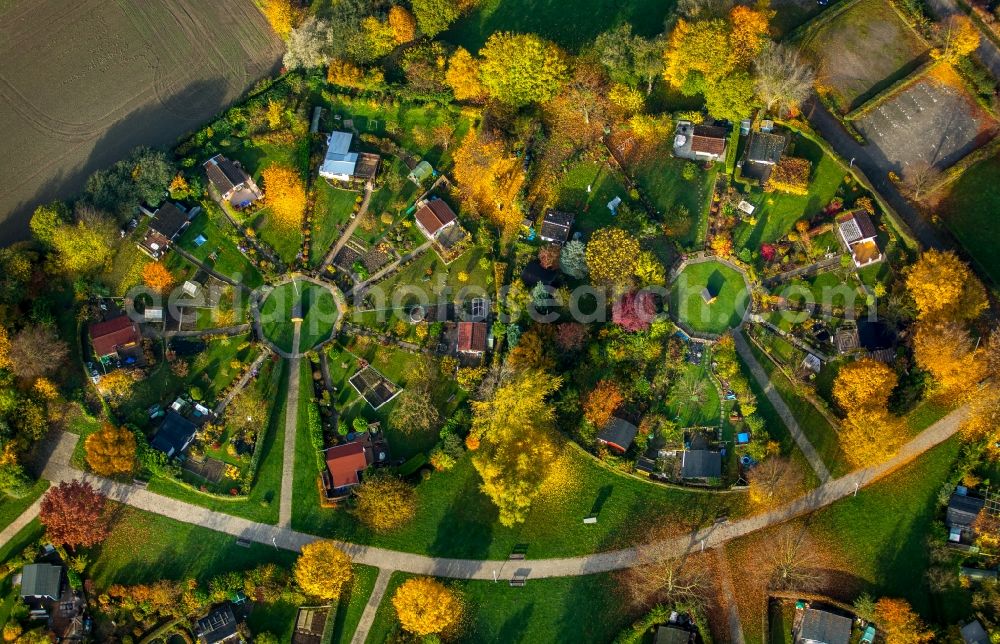 Stockum from the bird's eye view: Parcels of a circular allotements in Stockum in the state of North Rhine-Westphalia. The colourful parcels are located in a circle around central squares