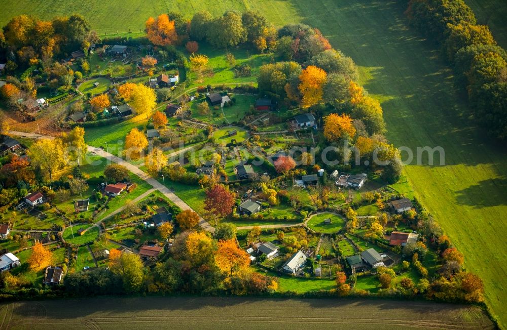 Stockum from above - Parcels of a circular allotements in Stockum in the state of North Rhine-Westphalia. The colourful parcels are located in a circle around central squares