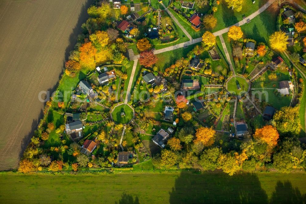 Aerial image Stockum - Parcels of a circular allotements in Stockum in the state of North Rhine-Westphalia. The colourful parcels are located in a circle around central squares