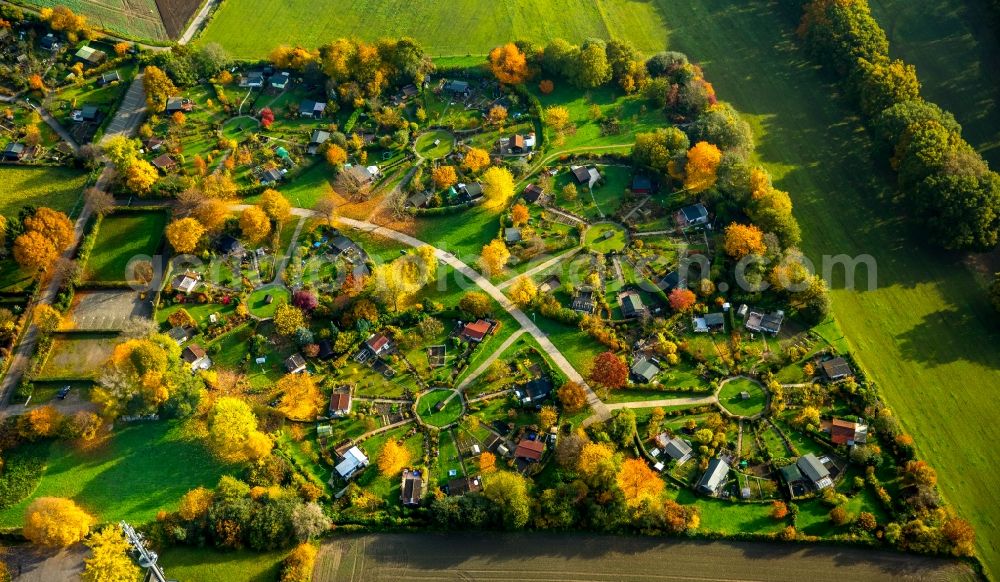 Stockum from the bird's eye view: Parcels of a circular allotements in Stockum in the state of North Rhine-Westphalia. The colourful parcels are located in a circle around central squares