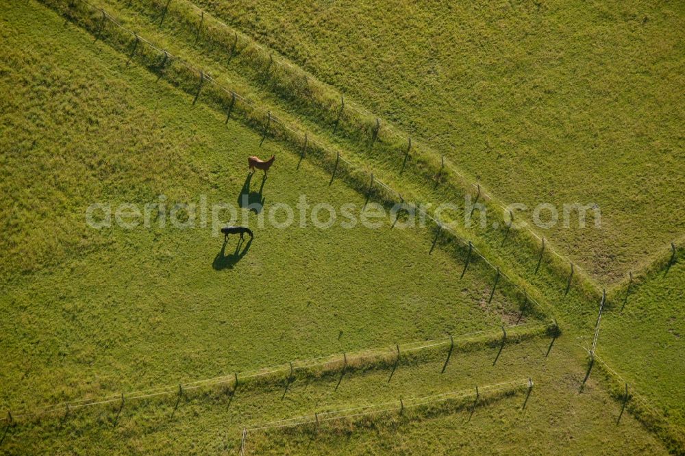 Aerial image Neuenrade - Horses pasture of the RFZV Neuenrade-Kuentrop e. V. on Gevener Weg in Neuenrade in North Rhine-Westphalia. rfzv-neuenrade-kuentrop.de.tl