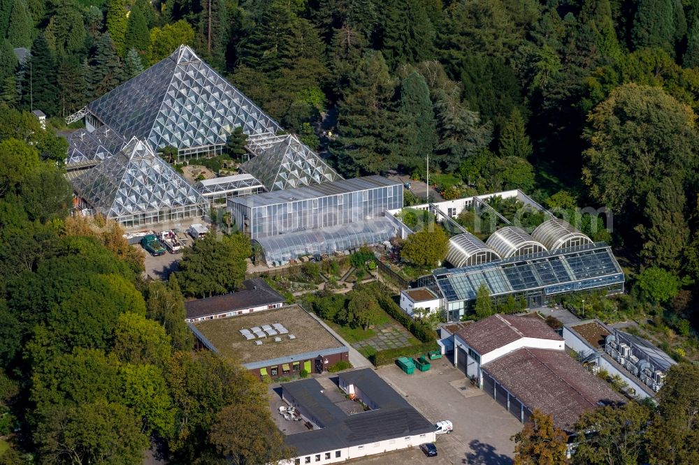 Aerial image Essen - View of plant houses in Essen in the state of North-Rhine Westphalia