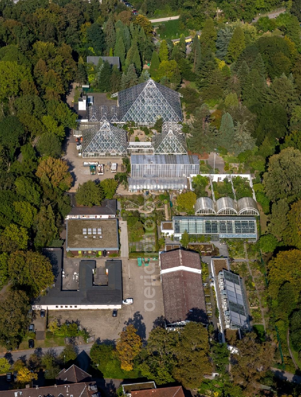 Aerial photograph Essen - View of plant houses in Essen in the state of North-Rhine Westphalia