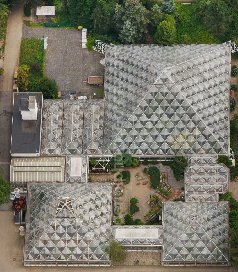 Aerial photograph Essen - View of plant houses in Essen in the state of North-Rhine Westphalia