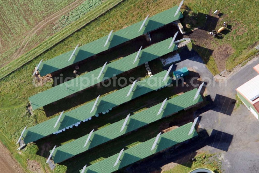 Willingshausen from above - Blick auf eine Wolfgang Gerbere Photovoltaik- anlage im Ortsteil Wasenberg. Kaisinger Horst u. Christiane, Am alten Pflaster 2, 34628 Willingshausen, 06691-2943