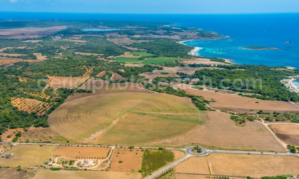 Aerial image Ses Salines - Circular round arch of a pivot irrigation system on agricultural fields in Ses Salines in Balearische Insel Mallorca, Spain