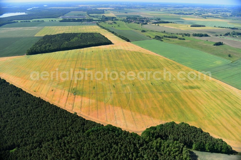 Aerial photograph Wutike - Circular round arch of a pivot irrigation system on agricultural fields in Wutike in the state Brandenburg, Germany