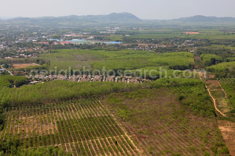 Si Sunthon from above - Phuket island landscape near Phuket Thani Village in Si Sunthon in Thailand