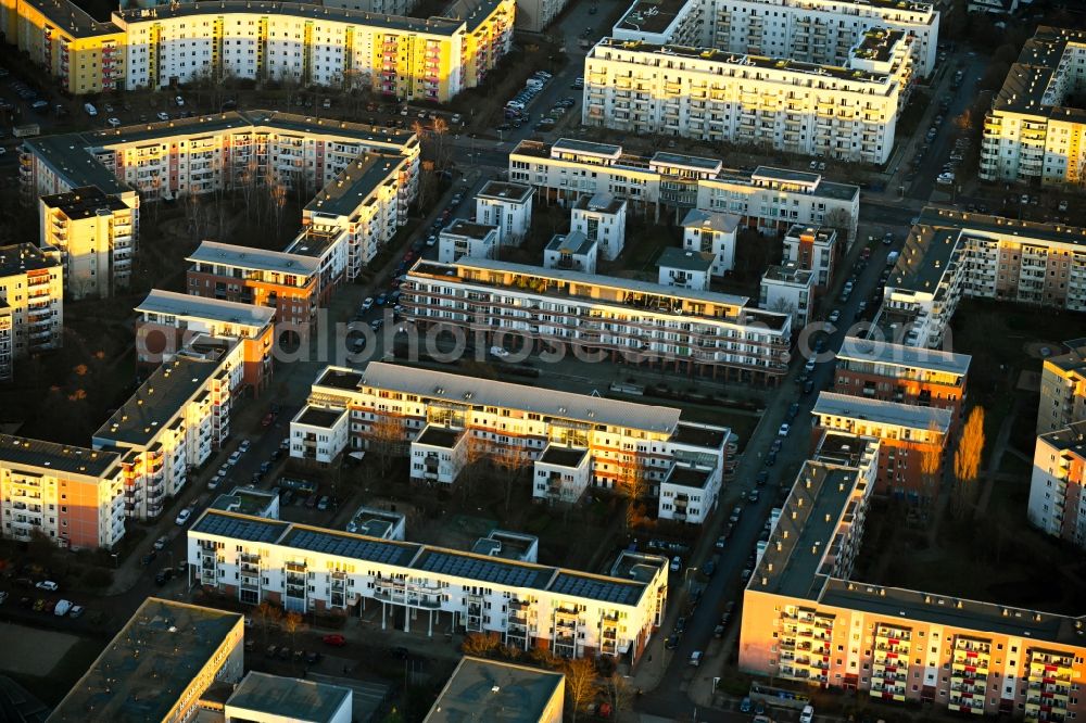 Aerial photograph Berlin - Skyscrapers in the residential area of industrially manufactured settlement Branitzer Karree on street Adele-Sandrock-Strasse, Louis-Lewin-Strasse, Schwarzheider Strasse and Annaburger Strasse in Berlin, Germany