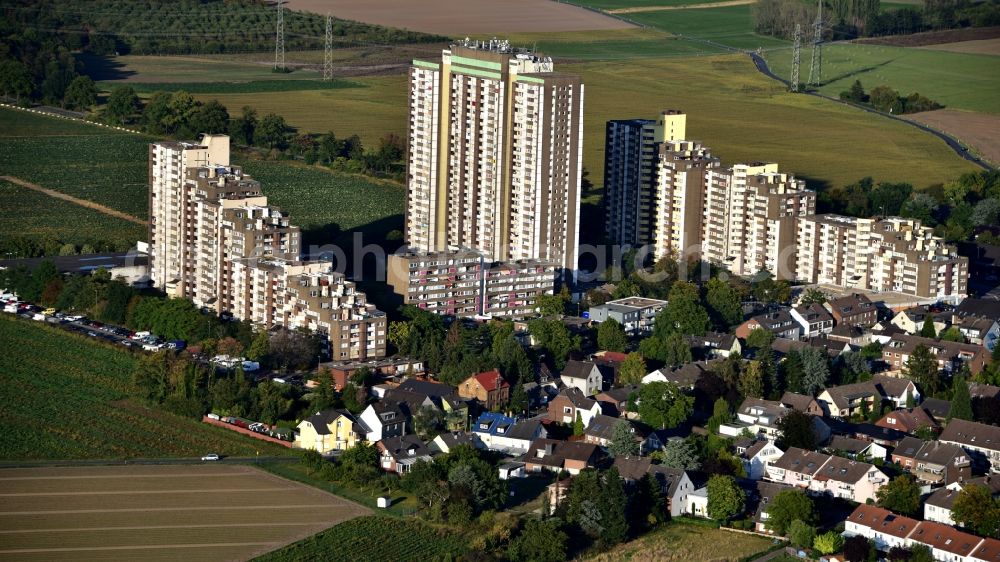 Aerial image Köln - Skyscrapers in the residential area of industrially manufactured settlement Auf dem Koelnberg in the district Menschenich in Cologne in the state North Rhine-Westphalia, Germany