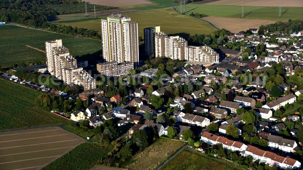 Köln from the bird's eye view: Skyscrapers in the residential area of industrially manufactured settlement Auf dem Koelnberg in the district Menschenich in Cologne in the state North Rhine-Westphalia, Germany