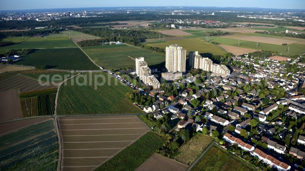 Aerial image Köln - Skyscrapers in the residential area of industrially manufactured settlement Auf dem Koelnberg in the district Menschenich in Cologne in the state North Rhine-Westphalia, Germany