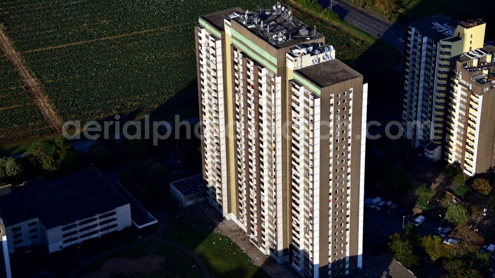 Aerial photograph Köln - Skyscrapers in the residential area of industrially manufactured settlement Auf dem Koelnberg in the district Menschenich in Cologne in the state North Rhine-Westphalia, Germany