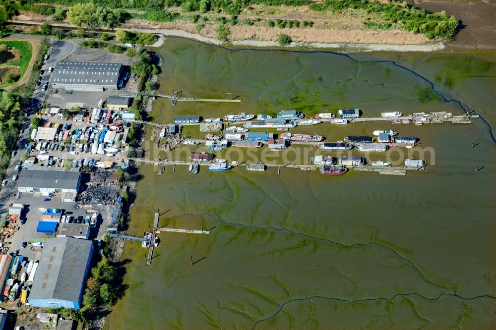 Aerial image Hamburg - Shore areas exposed by low-water level riverbed of the river Alte Dove-Elbe with houseboat mooring at Moorfleeter Deich - Holzhafenufer in Hafenbereich in the district Moorfleet in Hamburg, Germany