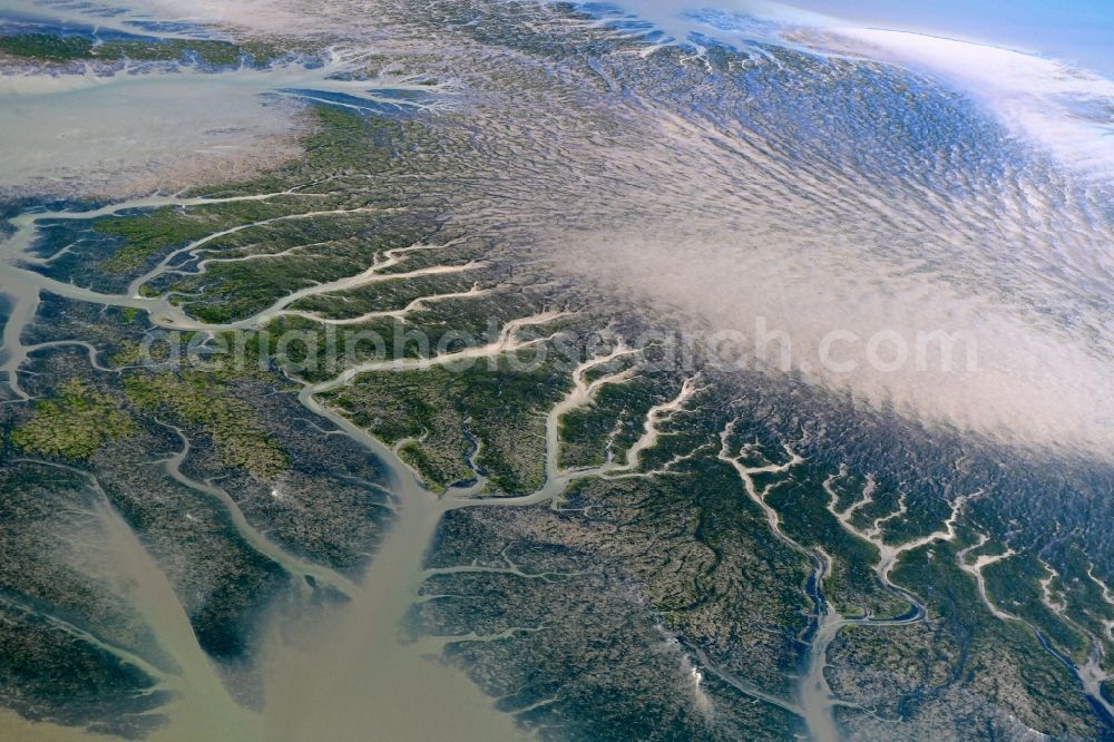 Reußenköge from the bird's eye view: Formation of tides in the Wadden Sea landscape of North Sea in Reussenkoege in the state Schleswig-Holstein, Germany