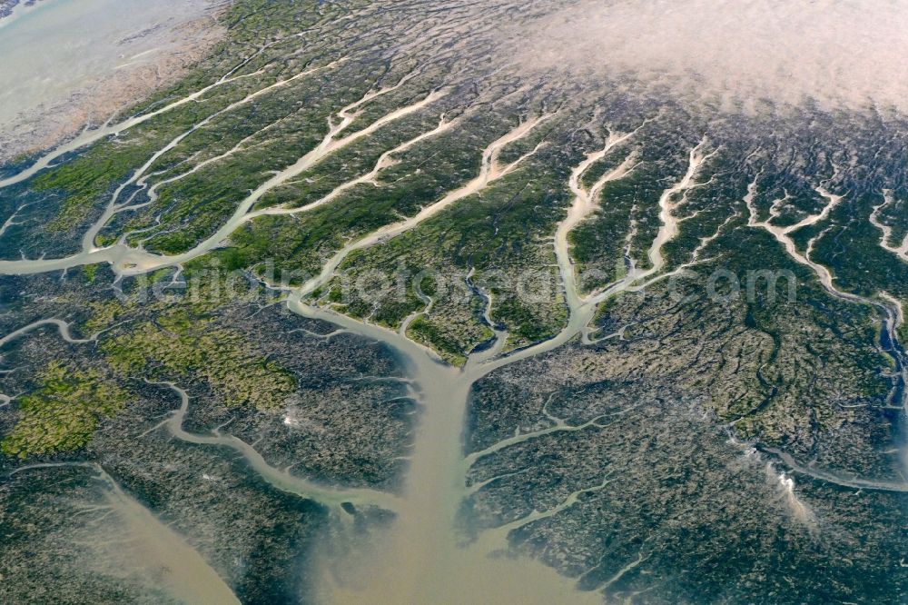 Aerial photograph Reußenköge - Formation of tides in the Wadden Sea landscape of North Sea in Reussenkoege in the state Schleswig-Holstein, Germany