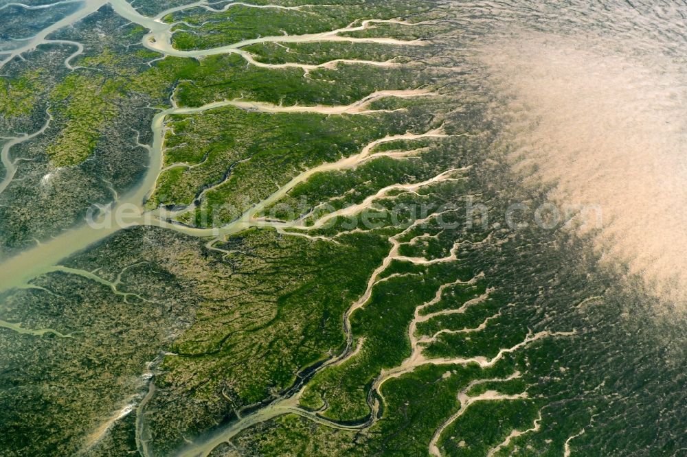 Reußenköge from the bird's eye view: Formation of tides in the Wadden Sea landscape of North Sea in Reussenkoege in the state Schleswig-Holstein, Germany