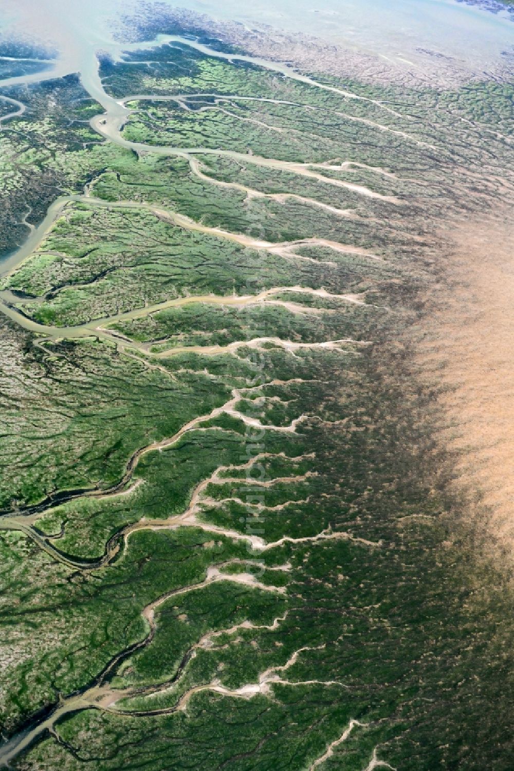 Aerial photograph Reußenköge - Formation of tides in the Wadden Sea landscape of North Sea in Reussenkoege in the state Schleswig-Holstein, Germany