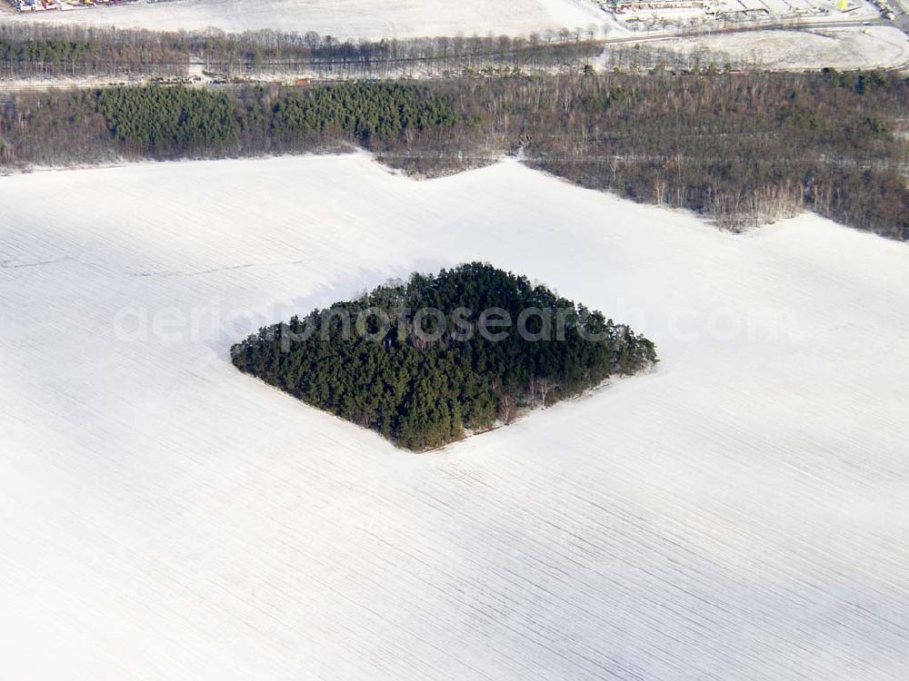 Schönefeld/Brandenburg from the bird's eye view: 22.01.2004 quadrartisches nett ansehenliches Waldstück bei Schönefeld