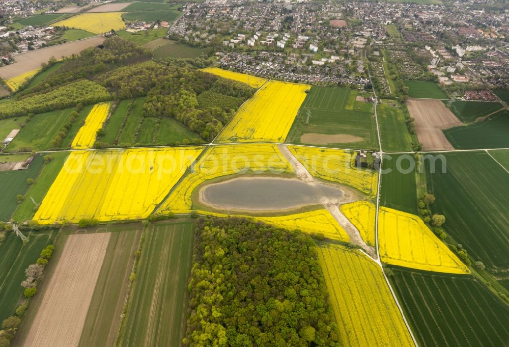 Aerial image Wickede - Rape-Eye of Wickede, a rapeseed field on the Wickeder field in the state of North Rhine-Westphalia