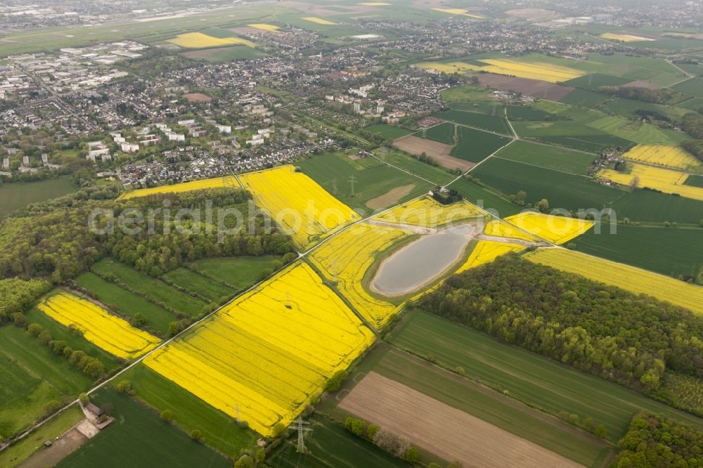 Wickede from above - Rape-Eye of Wickede, a rapeseed field on the Wickeder field in the state of North Rhine-Westphalia