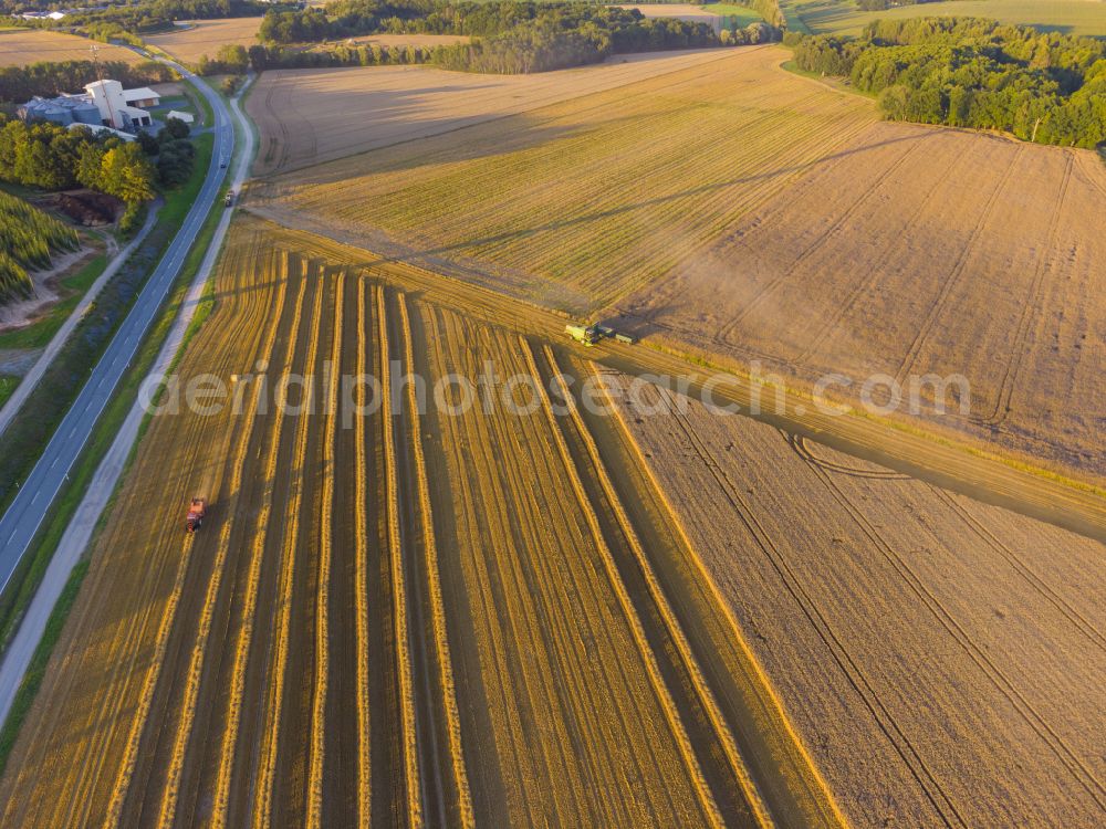 Aerial photograph Elstra - Rapeseed harvest with a Deutz -FAHR 5690 HTS combine harvester in Elstra in the state of Saxony, Germany