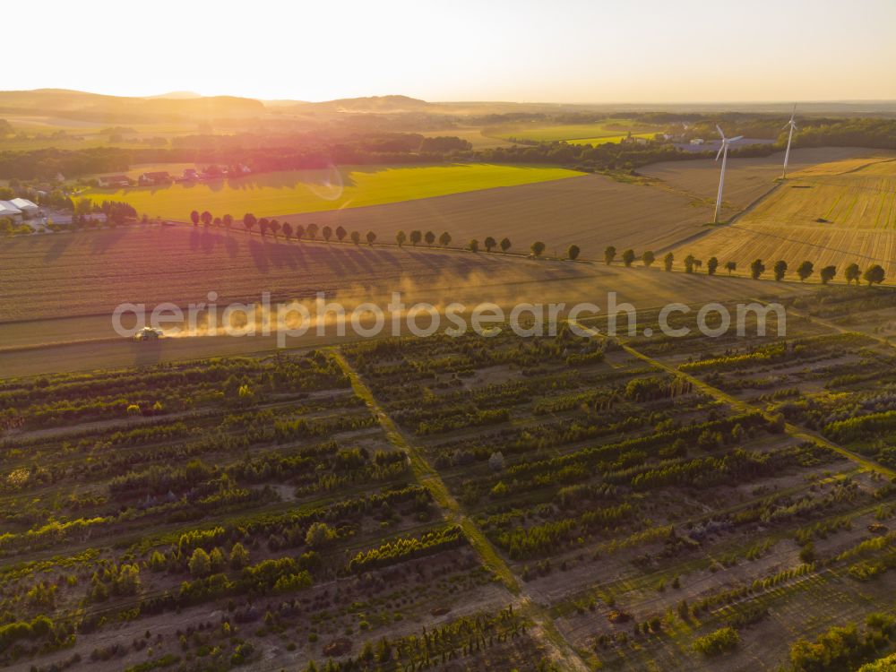 Elstra from the bird's eye view: Rapeseed harvest with a Deutz -FAHR 5690 HTS combine harvester in Elstra in the state of Saxony, Germany