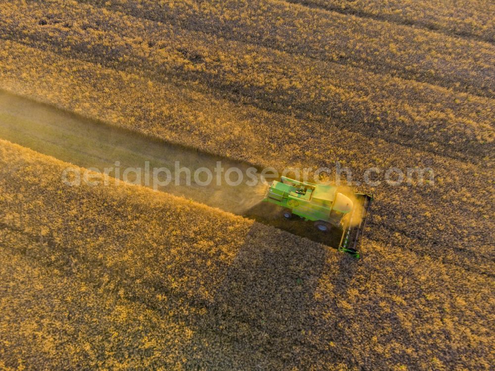 Aerial photograph Elstra - Rapeseed harvest with a Deutz -FAHR 5690 HTS combine harvester in Elstra in the state of Saxony, Germany