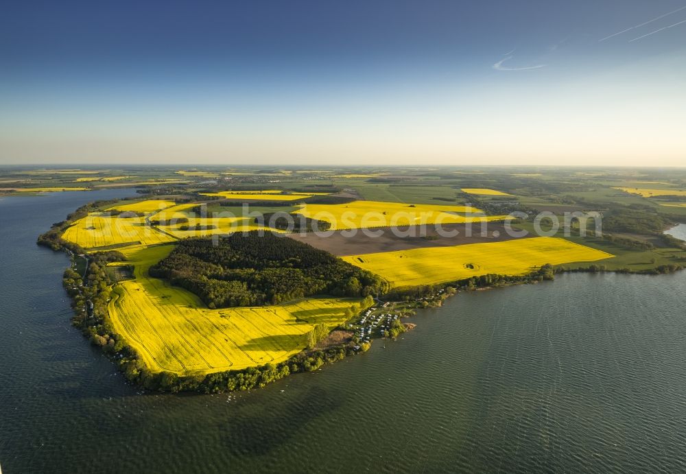 Gotthun from above - Yellow flowering field in Gotthun at the lake Mueritz in Mecklenburg - Western Pomerania