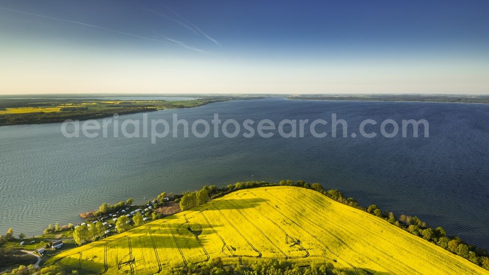 Gotthun from above - Yellow flowering field in Gotthun at the lake Mueritz in Mecklenburg - Western Pomerania