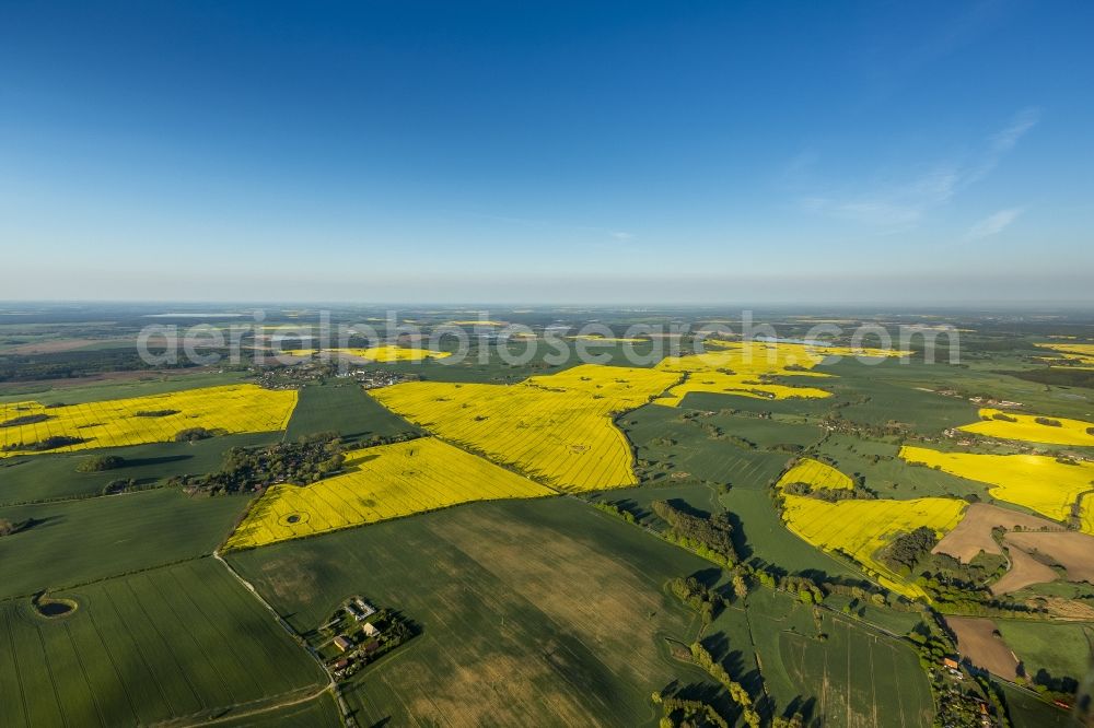 Aerial photograph Gutow - View of a canola field near Gutow in the state Mecklenburg-West Pomerania