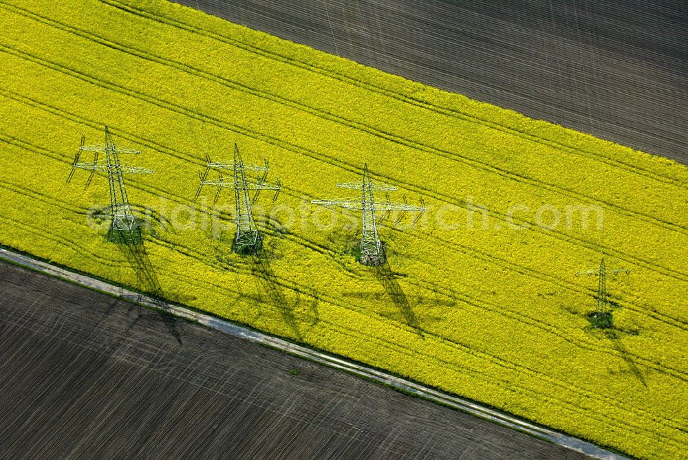 Aerial photograph Dorsten - Blick auf ein Rapsfeld mit Hochspannungsmasten bei Altendorf und Ulfkotten.