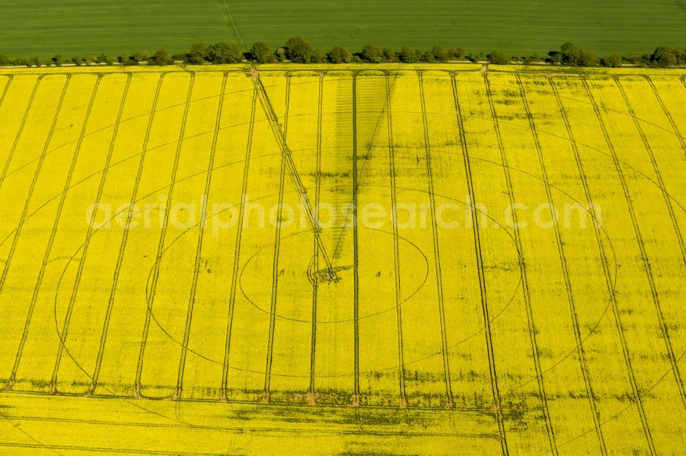 Perleberg from the bird's eye view: View of a rape field in Perleberg in the state Brandenburg