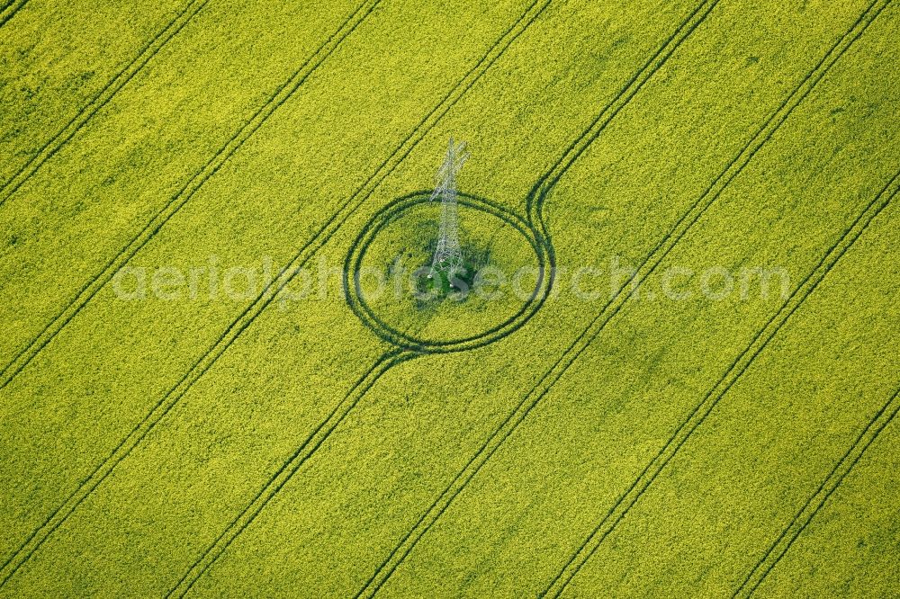 Aerial image Ichtershausen - View of a rape field with a power pole near Ichtershausen in the state Thuringia