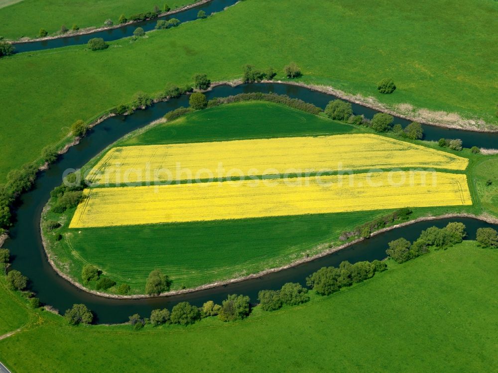 Aerial photograph Gerstungen - Canola field on the river Werra in the Lauchröden part of Gerstungen in the state of Thuringia. The fields are located in the Middle Werra Valley in a sharp curve of the river