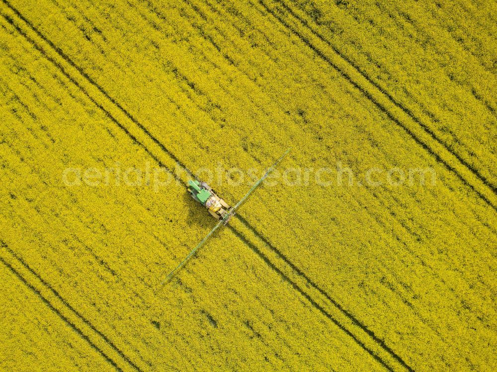 Bannewitz from above - Flowering rapeseed fields with pesticide treatment in the Eastern Ore Mountains in Bannewitz in the state of Saxony, Germany