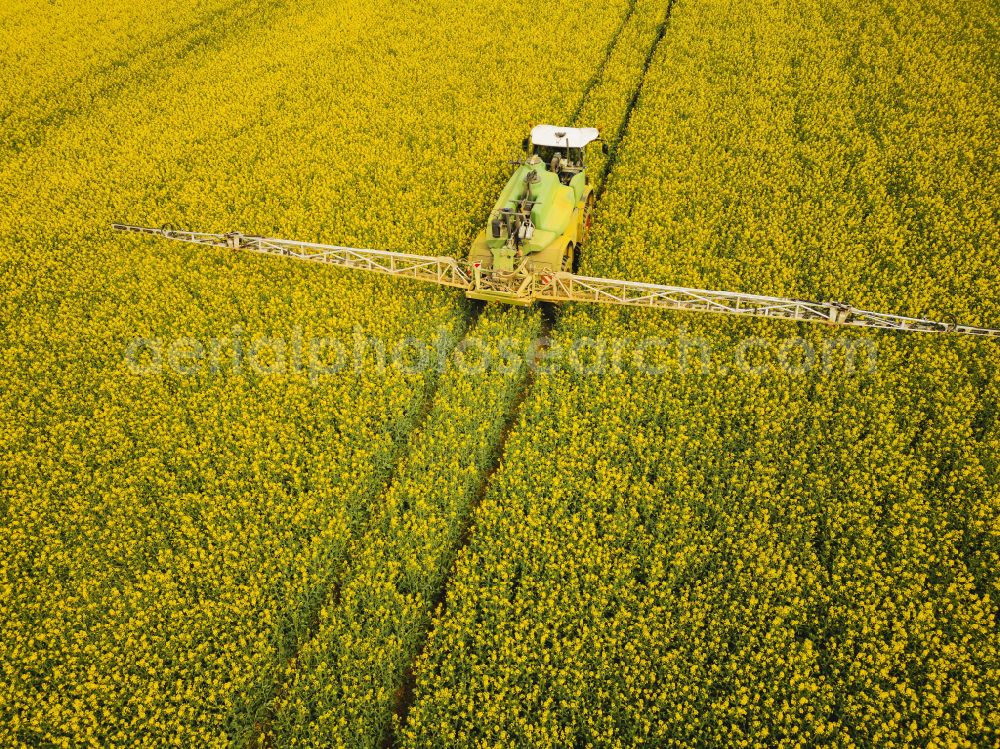 Aerial photograph Bannewitz - Flowering rapeseed fields with pesticide treatment in the Eastern Ore Mountains in Bannewitz in the state of Saxony, Germany